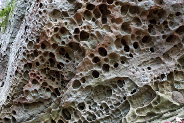 Differential solution of a limestone rock due to the chemical weathering.  Berdorf, Luxembourg....