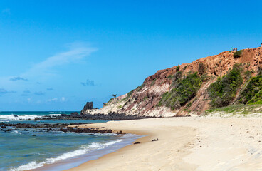 Fototapeta na wymiar Beach of Pipa with palms in the cliffs, Natal, Brazil