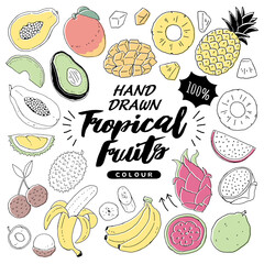 Handdrawn_fruit_tropical_3