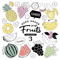 Sketches_Vegetables2_03 [更新済み]