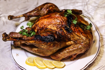 baked turkey with herbs and lemon slices