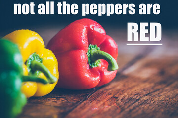 Not all the peppers are  RED phrase - yellow green and red capsicums on vintage table background