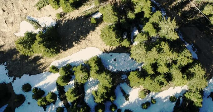 Aerial over forest and cableway in spring, green trees and woods in the Alps 4K