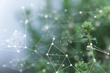 Modern agriculture with technology concept.