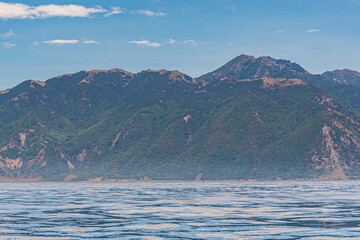 Coastline near Kaikoura in New Zealand