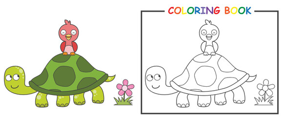 coloring turtle and bird