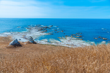 Landscape of Kaikoura peninsula in New Zealand