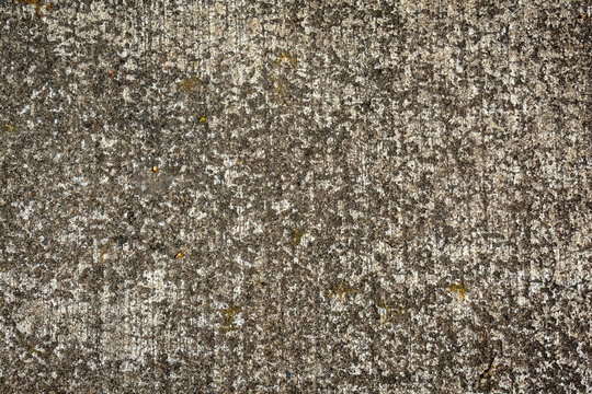 concrete texture 1