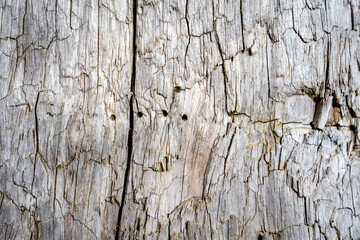 old cracked wood