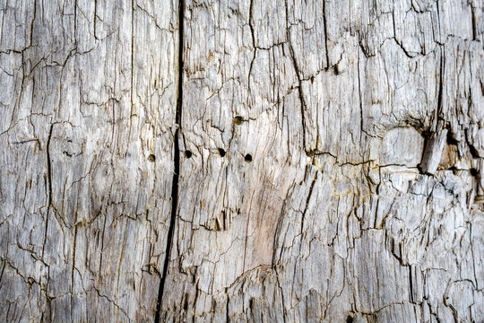 old cracked wood