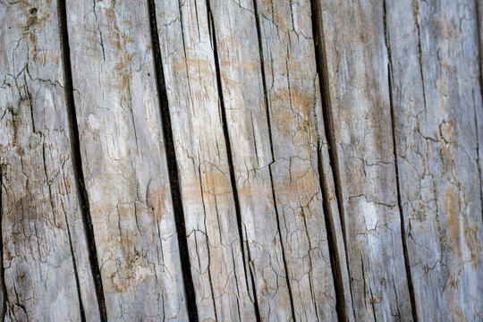 old wood texture