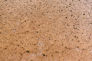cork board texture of stone