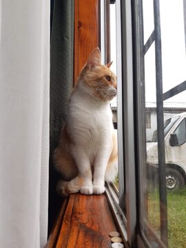 mirando al vacio
