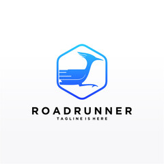 Roadrunner bird abstract minimal simple geometric logo design icon template silhouette isolated with white background