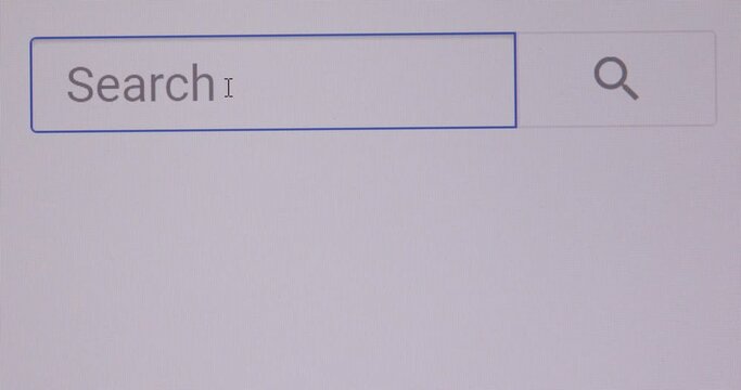 search bar on site internet