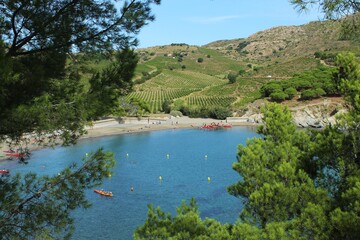Obraz premium Plage de Bernardi viewed from hill through opening in trees. Located on Mediterranean coast near town of Port-Vendres in Pyrnenees-Orientales department , southern France