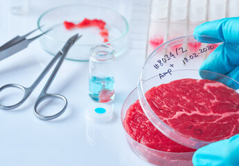 Meat sample in open disposable plastic cell culture dish in modern laboratory or production...