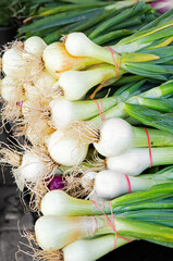 Fresh White and Red Onions at  Local Outdoor Market