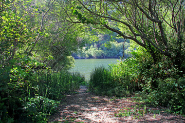 Path through the woods to the river