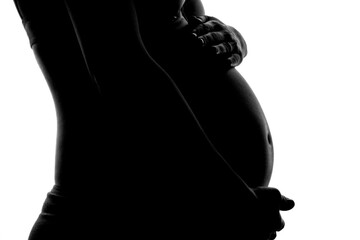 Pregnant Woman Belly