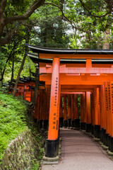 red gates at fushimi inari, Kyoto, torii gates on mt inari