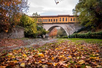 autumn leaves, Irgandi historical bridge, Bursa,Turkey