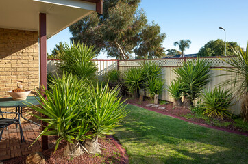 A typical front yard garden of Australian homes with low maintenance Yucca trees and panel fencing.