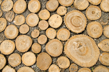 abstract background from round pieces of wood with embossed shadows