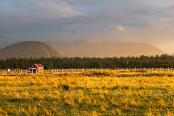 sunkissed red farmhouse in a field in New Zealand