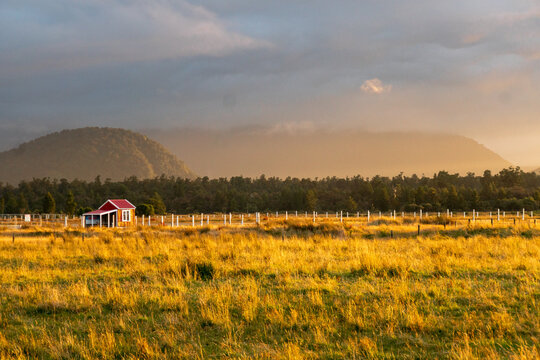 sunkissed red farmhouse in a field in New Zealand