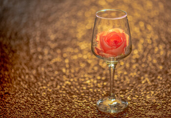 Orange roses in a glass with beautiful bokeh