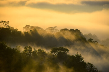 Beautiful morning light shining through the fog over the hill during sunrise in Mangunan, Yogyakarta, Indonesia.