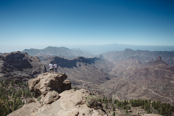 a couple stands on a large stone in the middle of a canyon and mountains 