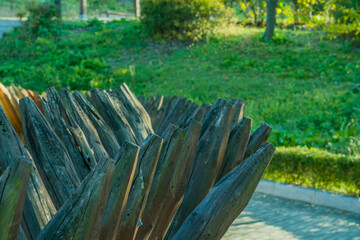 Barrier of pointed projecting spikes
