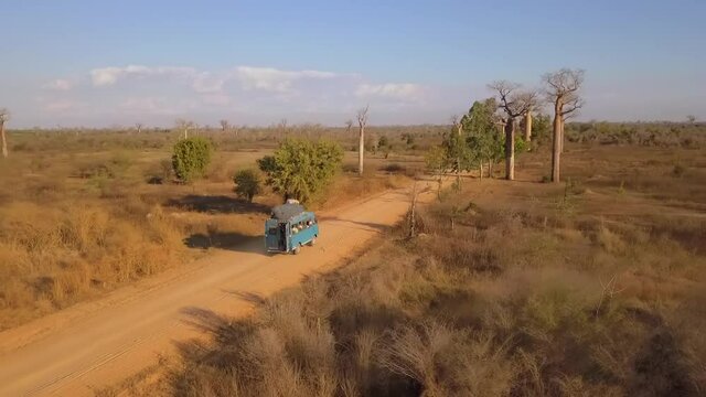 Taxi bus drives along dirt road in Madagascar, passes bicycle rickshaw and tall baobab trees,