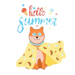 Vector hand drawn illustration of shiba inu dog. Hello summer colorful lettering. Design for sticker, card, poster. Isolated on white background.