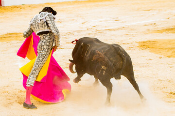 Bullfighter