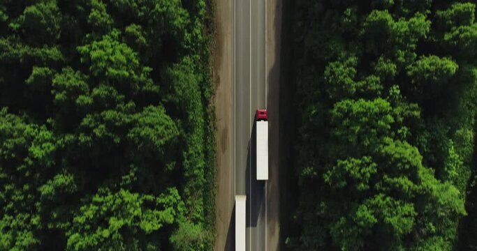 Semi truck with white trailer and red cab driving / traveling on the dense flat forest asphalt straight road, highway top view follow vehicle aerial footage / Freeway truck traffic