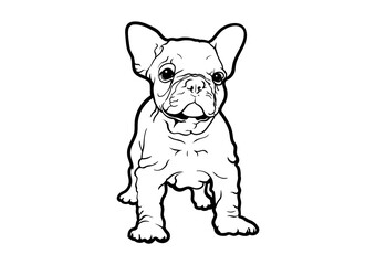 French Bulldog Black & White Logo Vector with wrinkle style sticker tattoo.