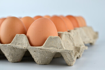 Chicken eggs in the egg tray isolated on the white background. 