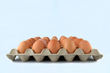 Chicken eggs in the egg tray isolated on the white background. 
