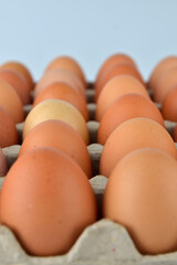 Chicken eggs in the egg tray isolated on the white background. 
