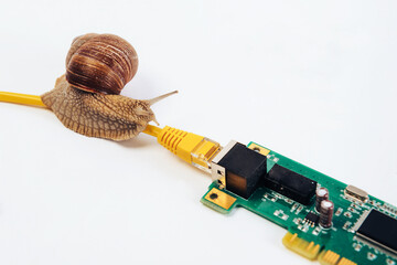 A snail crawls along an Internet wire connected to a network card. Concept of slow transfer speed,...