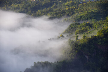 Fototapeta premium Mgła na górze w Mangunan, Yogyakarta, Indonezja.