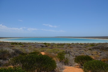 Fototapeta na wymiar Western Australia Shark Bay - Denham Coffee Mia circular bay