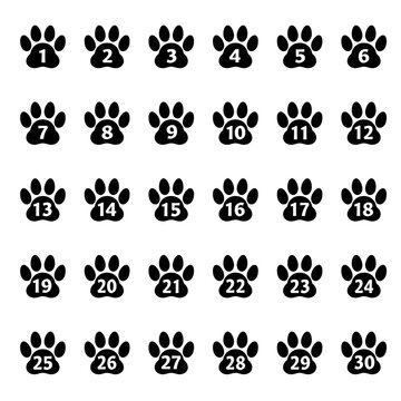 肉球 Images Browse 2 812 Stock Photos Vectors And Video Adobe Stock