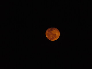 moon in the night sky