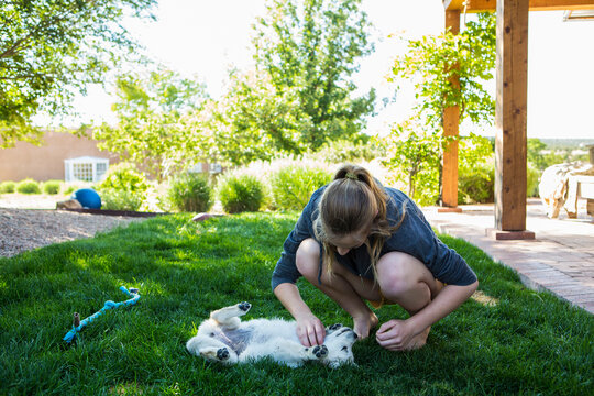 teenage girl playing with her English Cream Golden Retriever puppy on green lawn