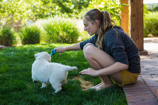 teenage girl playing with her English Cream Golden Retriever puppy on green lawn