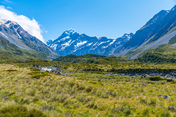 Hooker Valley Leading Aoraki
